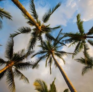 Meet your Posher, Aly